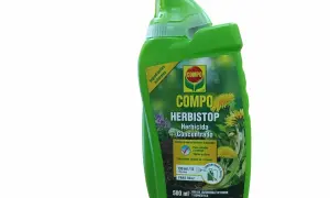 Bouteille verte de COMPO Herbistop, un désherbant concentré à base d'acide pélargonique pour jardins.