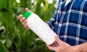 Un agriculteur tient une bouteille de javel désherbant dans un champ de maïs.