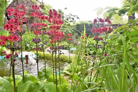 Jolie scène de jardin avec une plante verte extérieur, des fleurs rouges et violettes près d'un petit bassin avec une fontaine.