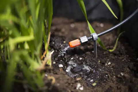 Goutte à goutte pour l'arrosage jardin, une petite buse orange diffuse de l'eau sur la terre humide près des plantes vertes.