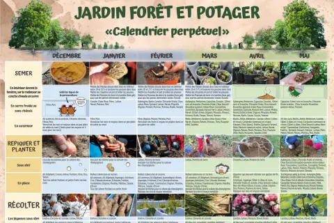 Légumes verts à semer en mars : aubergine, betterave, carotte, céleri, chicorée, chou, courgette, épinard, fenouil, haricot, laitue, melon, navet, oignon, pois, poireau, pomme de terre, tomate.