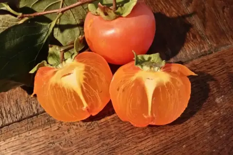Trois kakis, dont deux coupés en deux, révèlent leur chair orangée. Une astuce pour savoir comment faire mûrir des kakis.