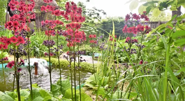 Jolie scène de jardin avec une plante verte extérieur, des fleurs rouges et violettes près d'un petit bassin avec une fontaine.