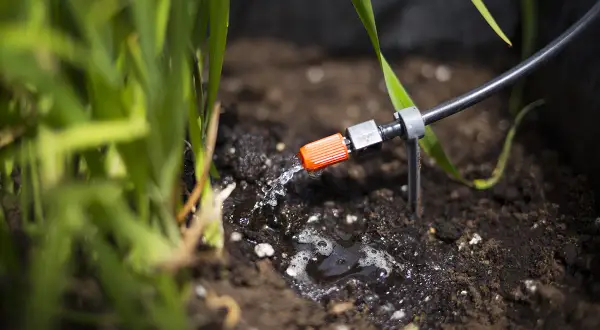 Goutte à goutte pour l'arrosage jardin, une petite buse orange diffuse de l'eau sur la terre humide près des plantes vertes.