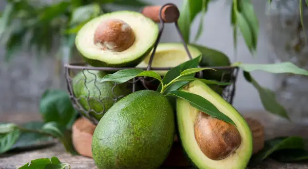 Avocats frais, certains coupés en deux, dans un panier. Une belle récolte d'avocatier en France, prête à être dégustée.