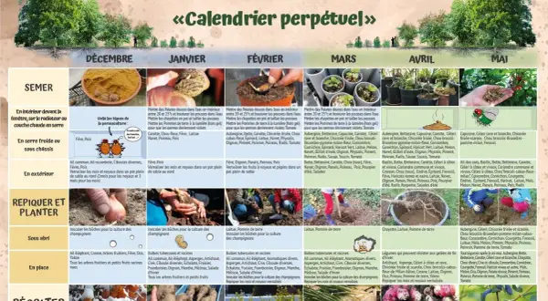 Légumes verts à semer en mars : aubergine, betterave, carotte, céleri, chicorée, chou, courgette, épinard, fenouil, haricot, laitue, melon, navet, oignon, pois, poireau, pomme de terre, tomate.