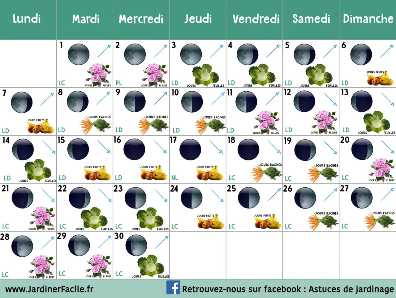 Calendrier lunaire de jardinage. Chaque jour indique une phase de la lune montante ou descendante, avec des icônes de fruits, légumes ou fleurs.
