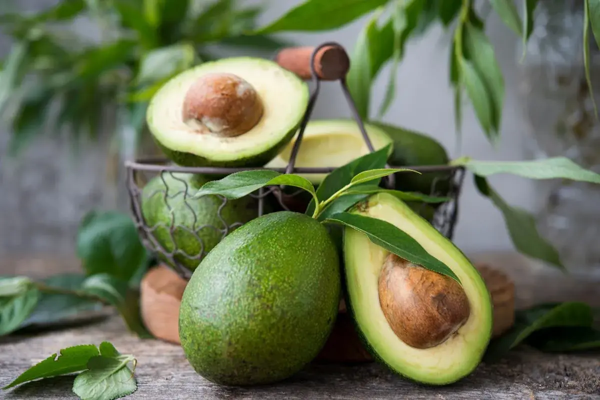 Avocats frais, certains coupés en deux, dans un panier. Une belle récolte d'avocatier en France, prête à être dégustée.