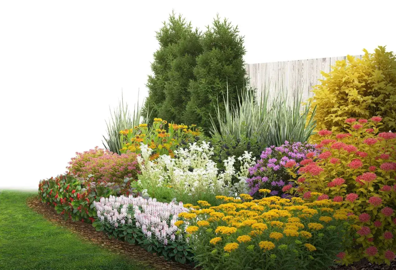 Un magnifique parterre de fleur jardin, débordant de couleurs vives : jaunes, roses, rouges et blancs, avec des conifères et une clôture en bois en arrière-plan.