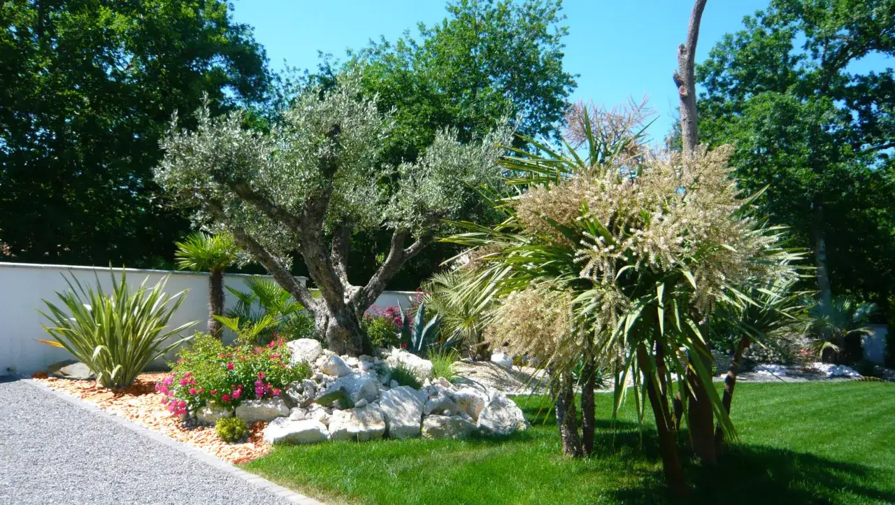 Un magnifique jardin avec un vieil arbre méditerranéen, des palmiers, des fleurs roses et une pelouse verte sous un ciel bleu.