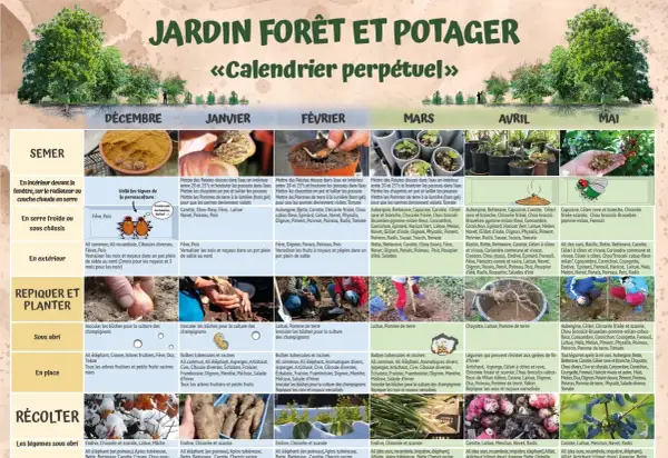 Légumes verts à semer en mars : aubergine, betterave, carotte, céleri, chicorée, chou, courgette, épinard, fenouil, haricot, laitue, melon, navet, oignon, pois, poireau, pomme de terre, tomate.