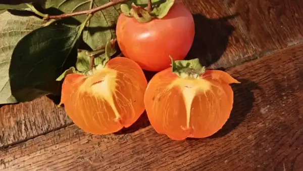 Trois kakis, dont deux coupés en deux, révèlent leur chair orangée. Une astuce pour savoir comment faire mûrir des kakis.